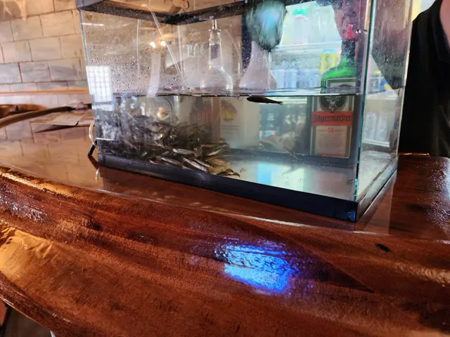 Marcia's Bar & Grill