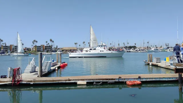 Channel Islands Sportfishing