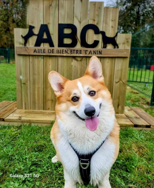 Aire de bien-être canin Amiens