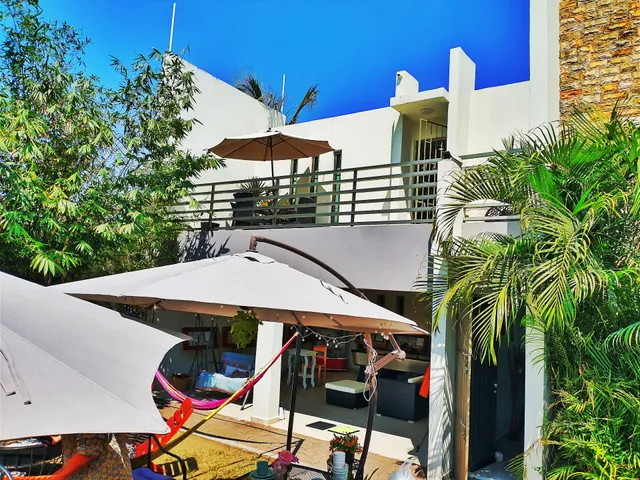 Finca Bambino Veracruz