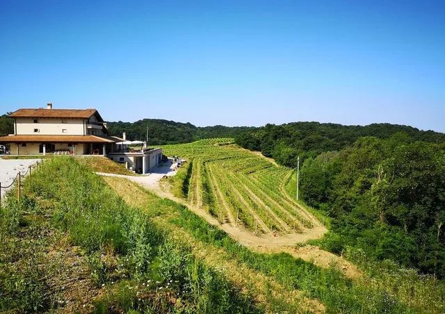 Klanjscek wine & stay