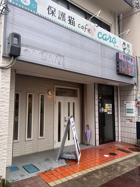 Cat Cafe caro