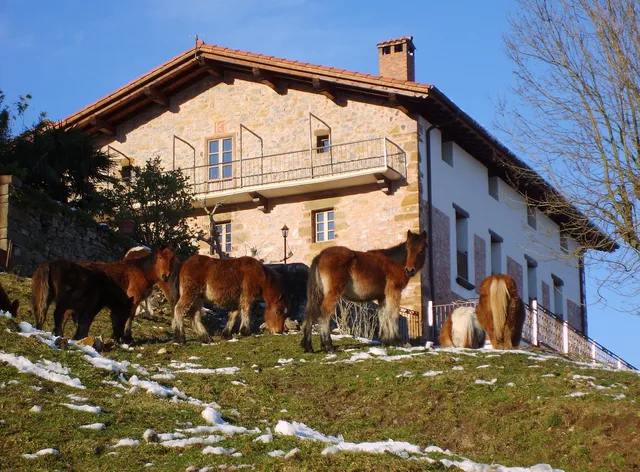 Kuko Hotel Restaurant