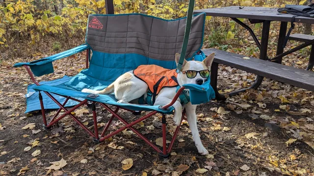 Shiawassee Humane Society