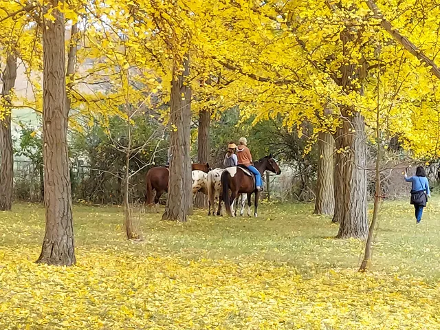 Blandy Experimental Farm