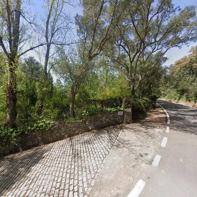 Finca El Molino Blanco