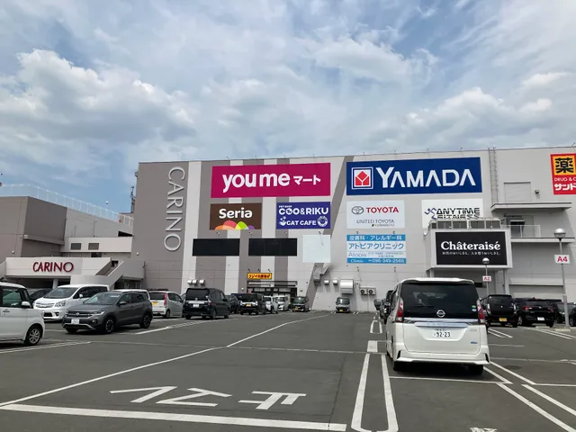 SUNREE CARINO KIKUYO