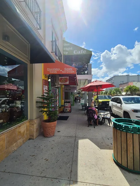 Downtowne Mt Dora Inc