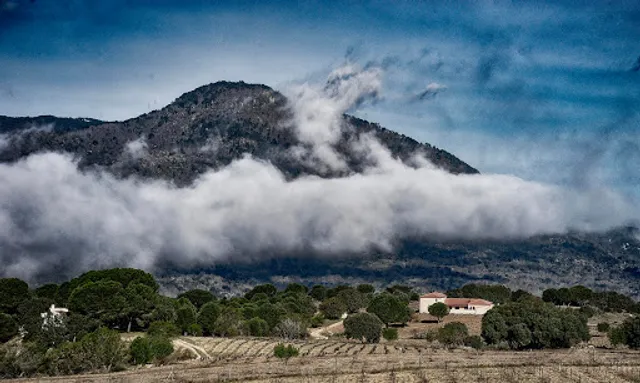 Bodega ValleYglesias
