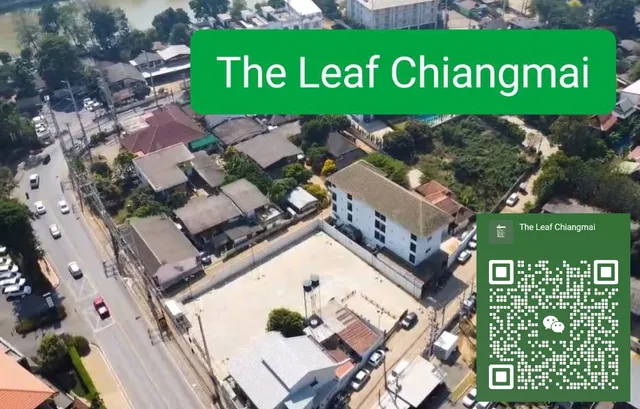 The Leaf Chiangmai