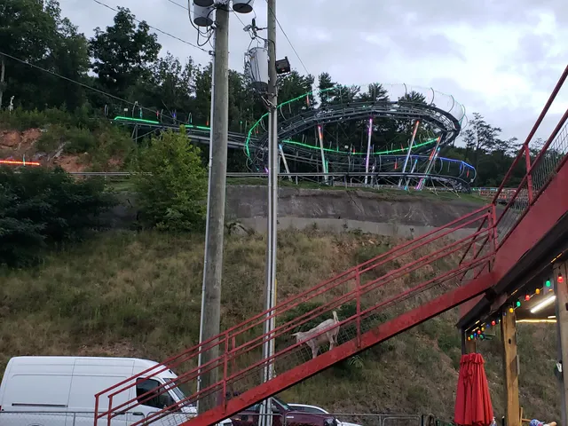 Goats on the Roof of the Smoky Mountains