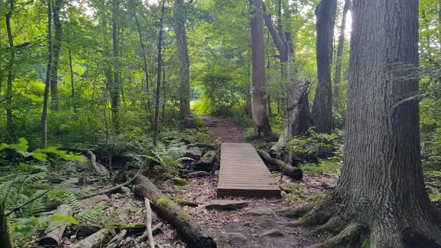 Great Hill Recreation Area