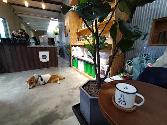 一起野餐 咖啡廳（我們。 他們 姐妹店｜毛孩友善）