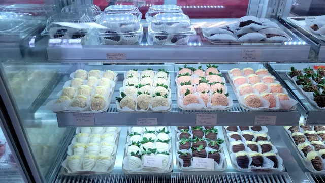 Dipped & Designed by Mallory