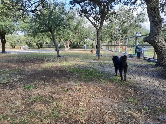 Rockport Dog Park