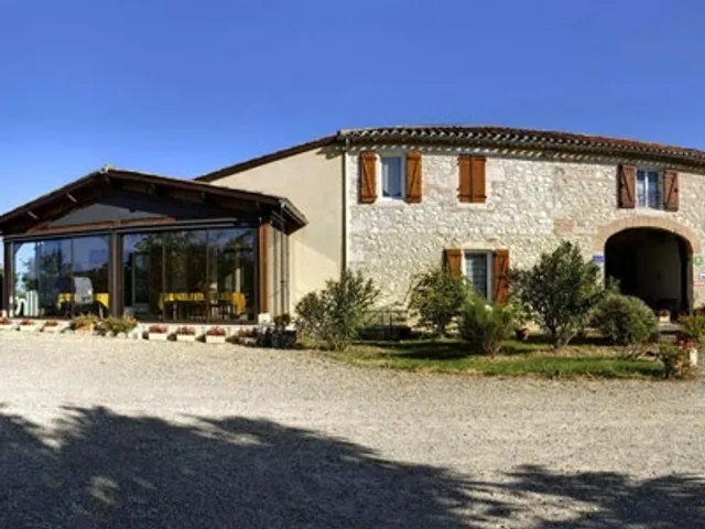 The Lime trees of the Greenway