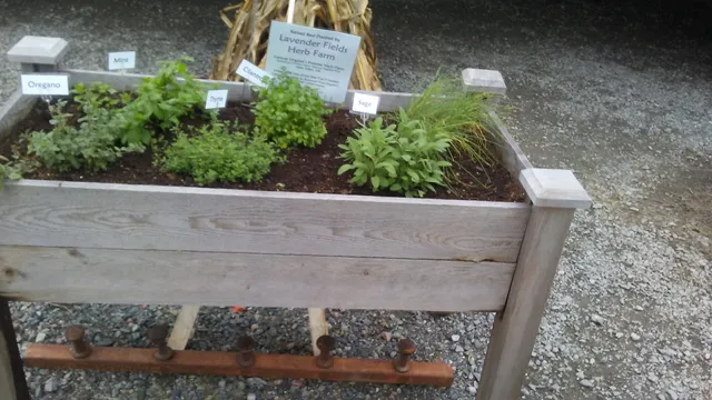 Richmond Fishing Expo