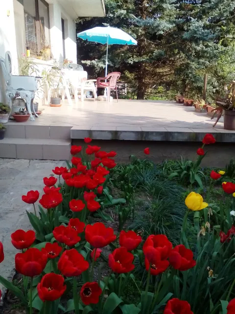 Wudigesser Magánszállás Budakeszi