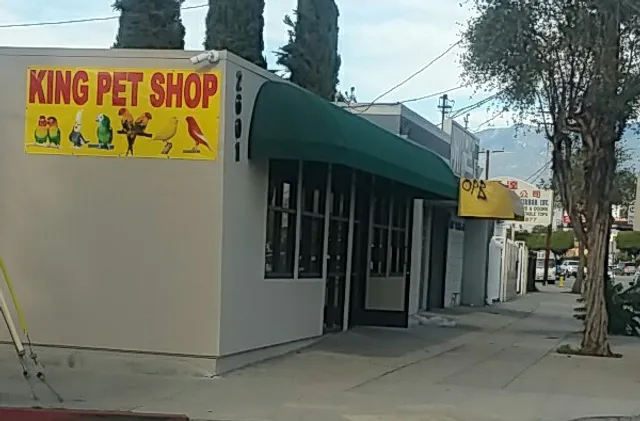 King Pet Shop