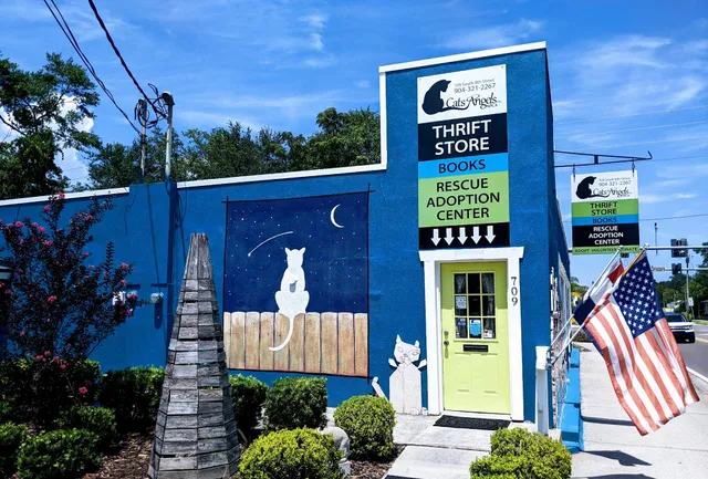 Cats Angels Inc & Thrift Store