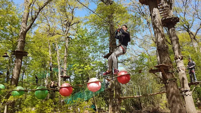 Ecopark Adventures Bièvres | Accrobranche 91
