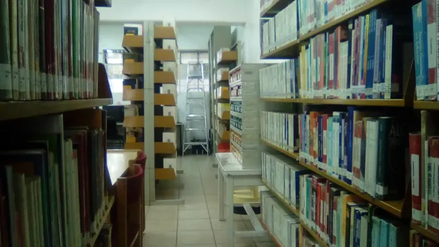 Amado Nervo Public Library