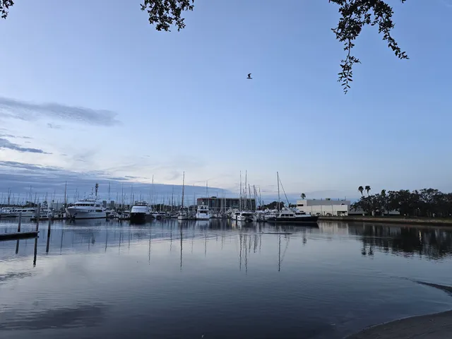 University of South Florida St. Petersburg Campus