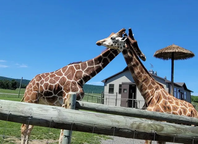 Lake Tobias Wildlife Park