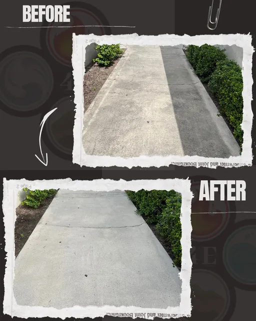 4 Elements Carpet Cleaning & Services