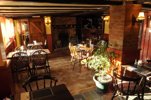 Bush, Blackbird & Thrush