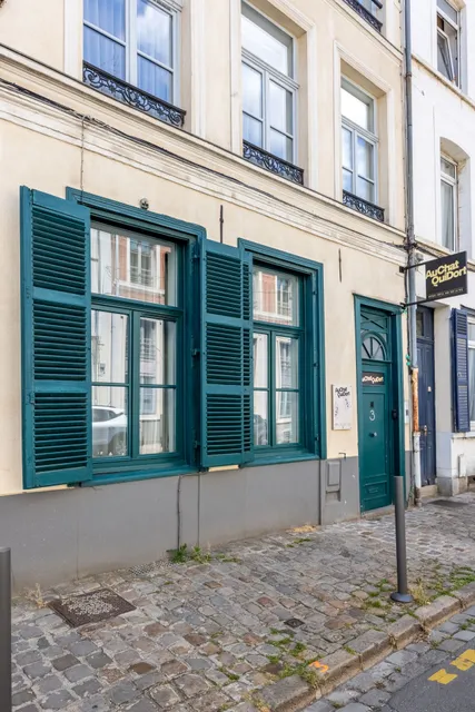 The Sleeping Cat III - Old Lille