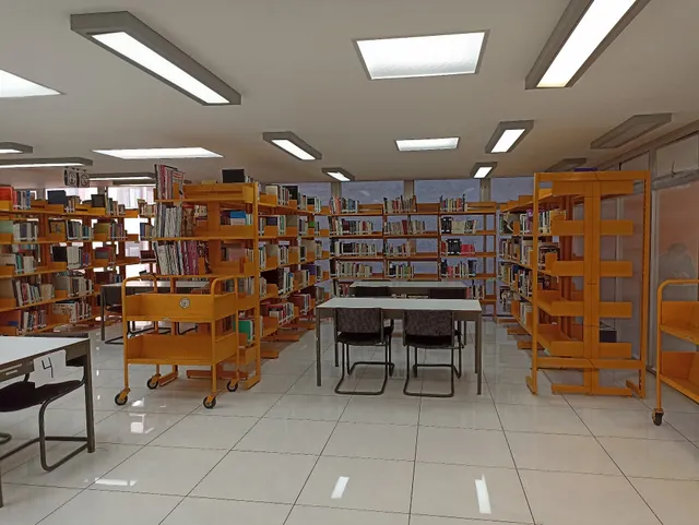 Public Library Alonso Lujambio Irazábal