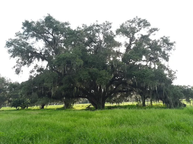 The Nature Park at Bobby Jones