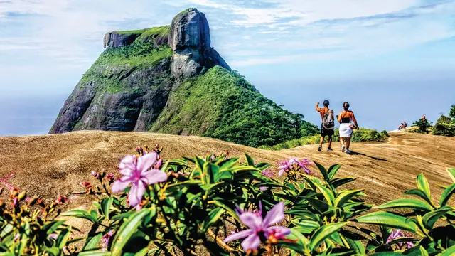 Jungle Me - Hiking and Trekking in Rio de Janeiro