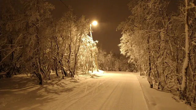 XOCMEA SNOWPOINT Hostel