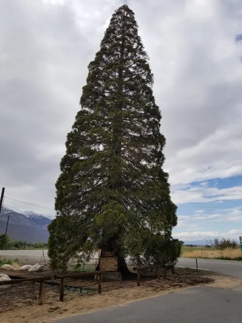 Glacier View Campground