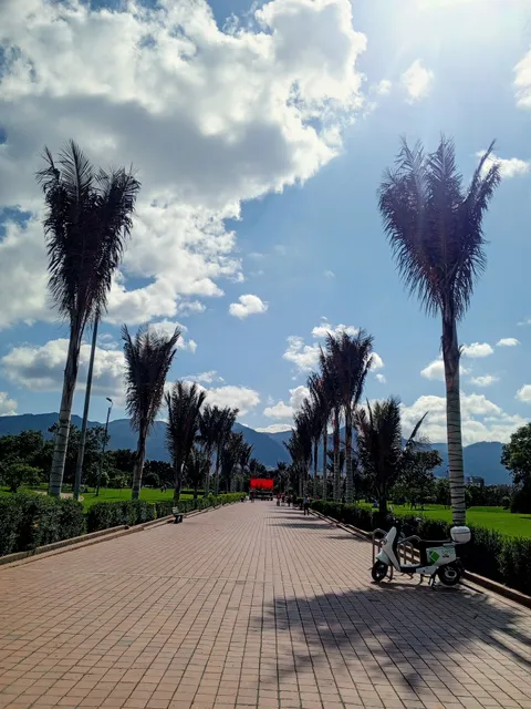 Biblioteca Virgilio Barco