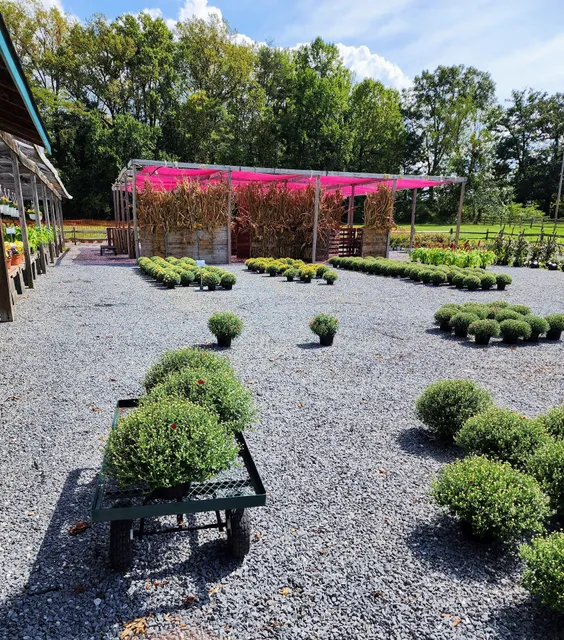 Gambrills Flower Farm