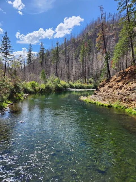 Clackamas River (Fish Creek) Trailhead