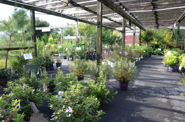 Blue Ridge Farmers Coop