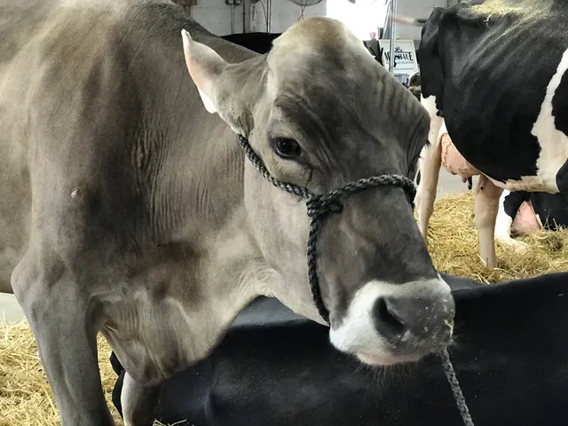 Calumet County Fairgrounds