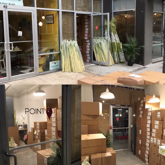 Palm Distributors - Your Palm Specialist!