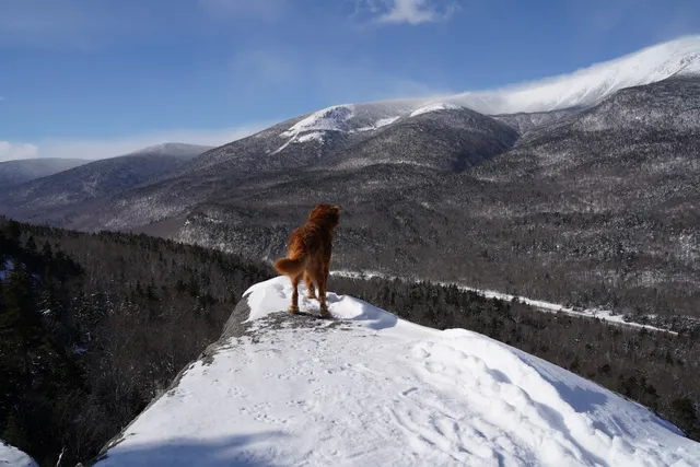 Square Ledge Trail Head