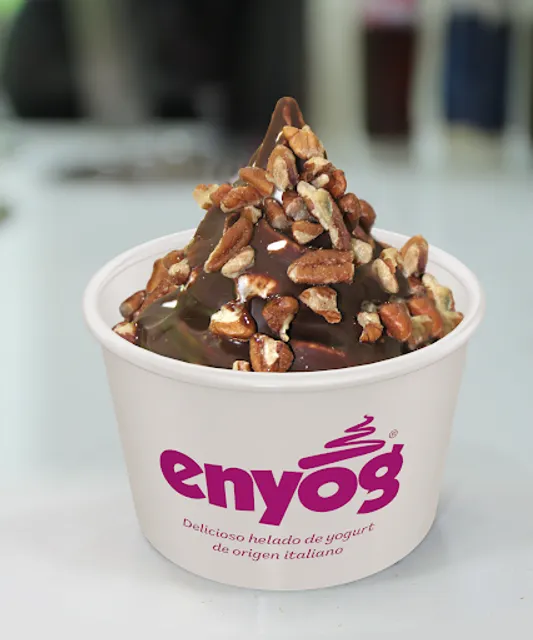 Enyog Paseo Gomez Palacio