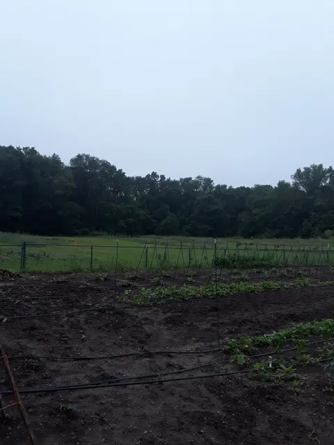 Huron Potawatomi Inc