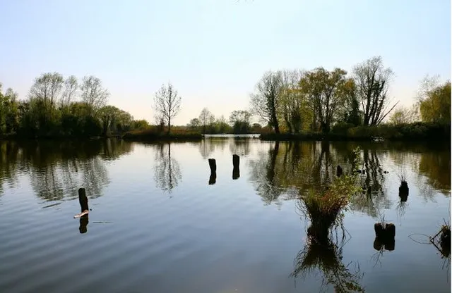 Étangs Du Romelaëre (Entrée)