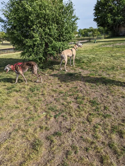 Muskegon Petsafe Dog Park