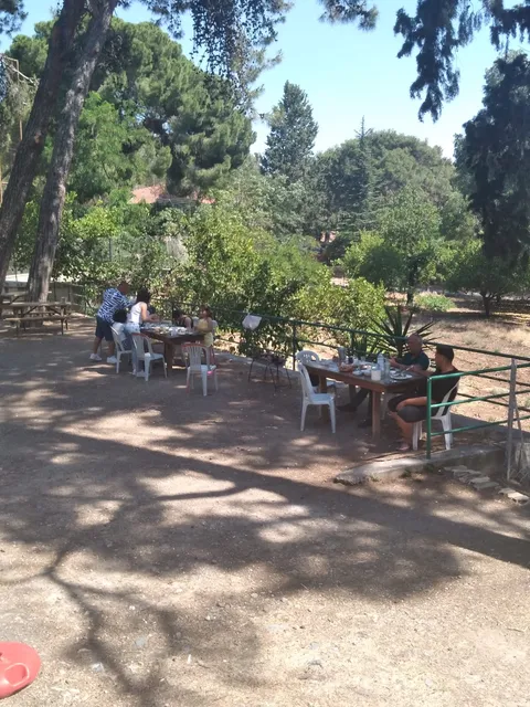 Alevkayası Serkan Hoca'nın Yeri (Restoran)