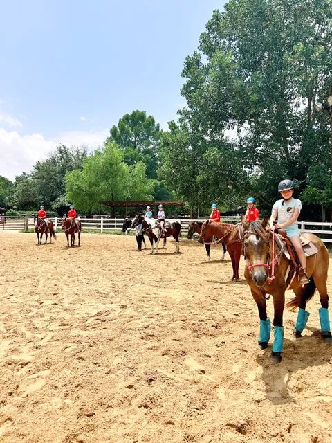 Ride With Pride Horsemanship School