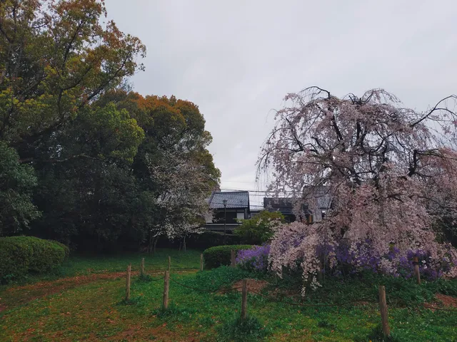 Awataguchi Aokusu Garden
